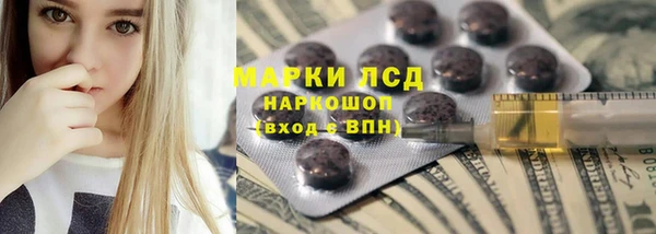 трава Кондопога