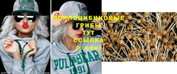дживик Остров