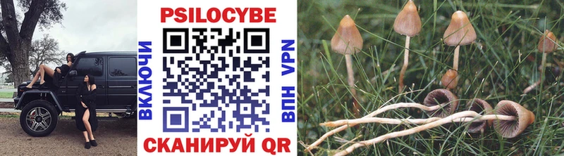 hydra tor  мориарти какой сайт  Псилоцибиновые грибы Magic Shrooms  Обоянь 